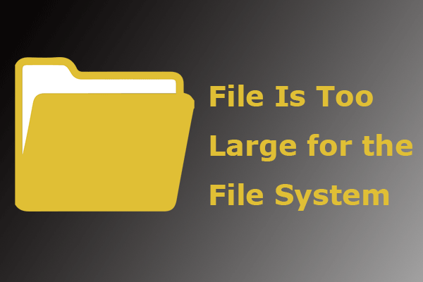 Solved] - The File Is Large for the Destination File System