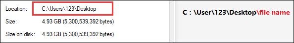 the full path of the blocked file