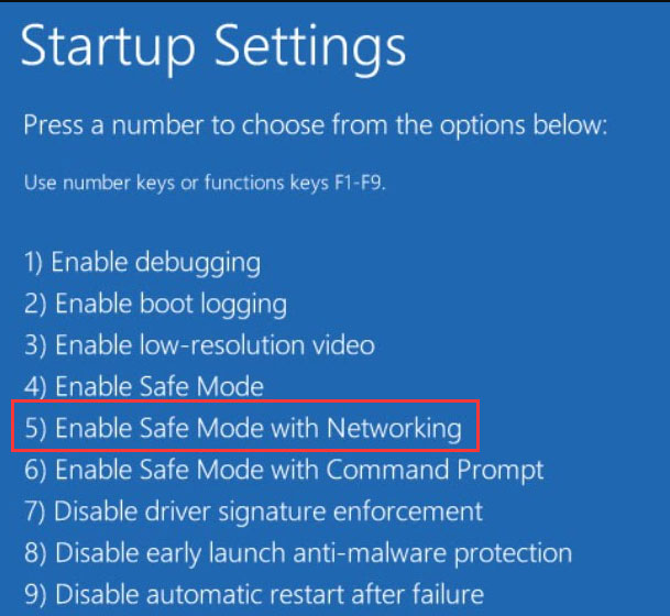 boot into Safe Mode with Network