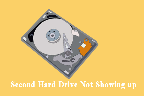 second hard drive not showing up