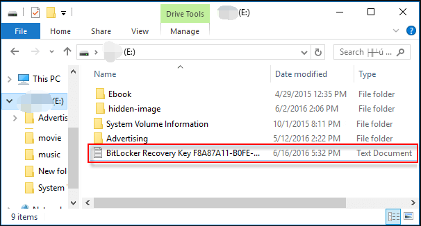 the text file saved BitLocker Recovery Key