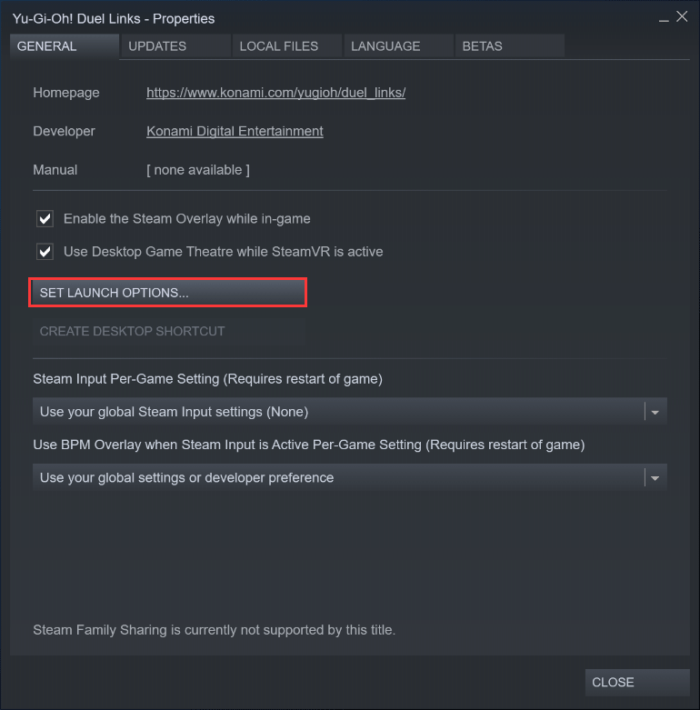 select Set Launch Options