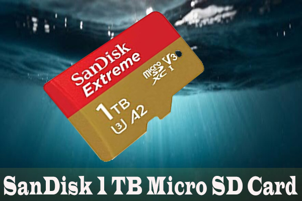 Sd карта 1 tb