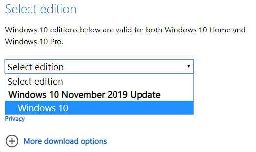 select the edition of Windows 10 ISO to download