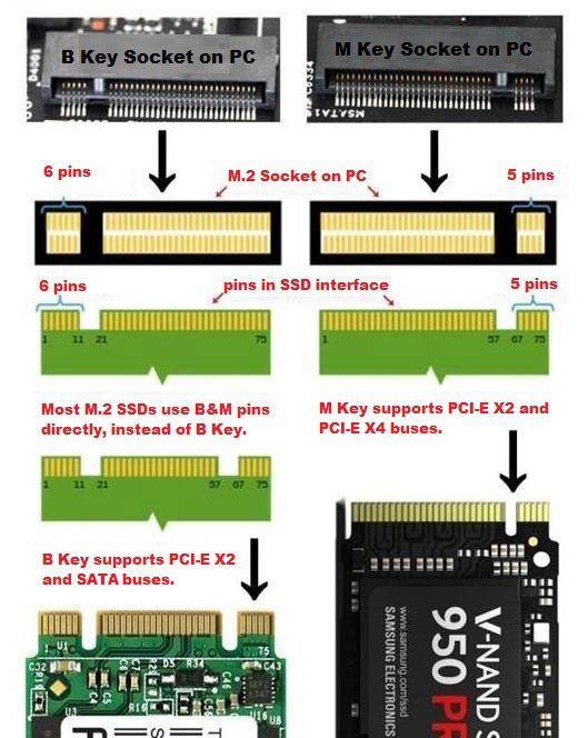 NVMe vs M.2: Bus, Interface, and Protocol - MiniTool Partition Wizard