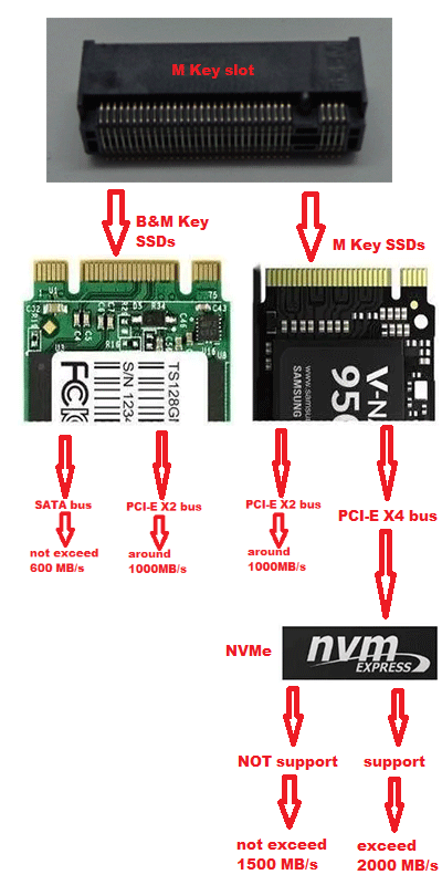 NVMe vs. SATA vs. M.2 SSD Explained: What's the Differences?