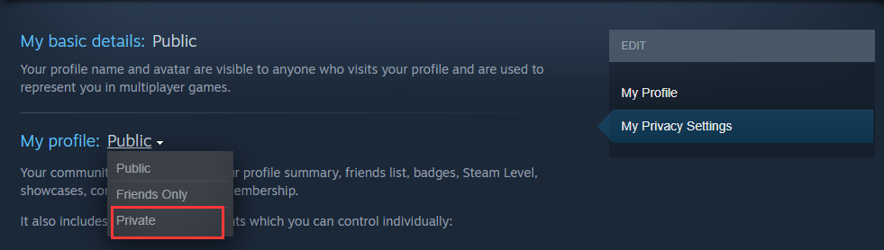 How to Hide Game Activity on Steam (Ultimate Guide) - MiniTool Partition  Wizard