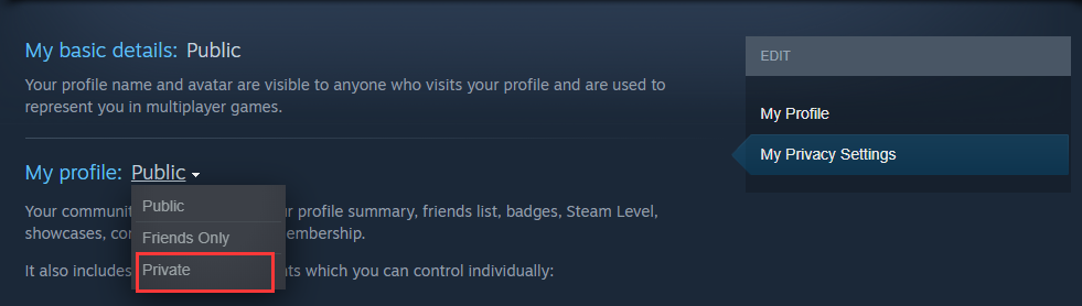 HOW TO HIDE WHAT GAME YOURE PLAYING ON STEAM 2020 (QUICK & EASY) - Hide Game activity on Steam