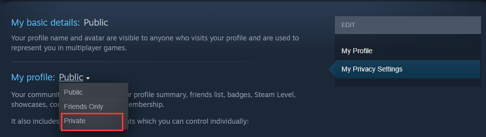 How to Hide Activity in Steam