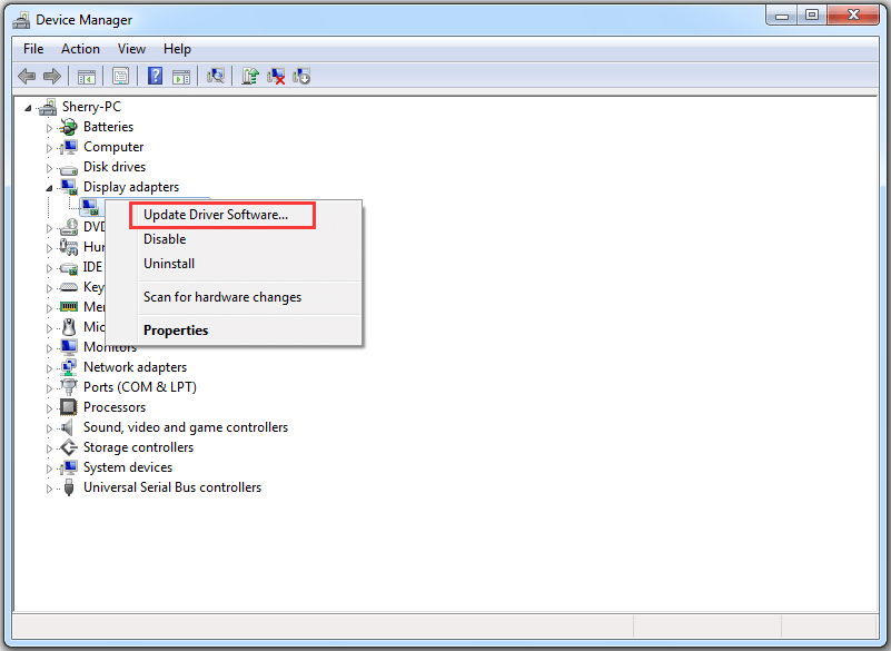 click Update Driver Software