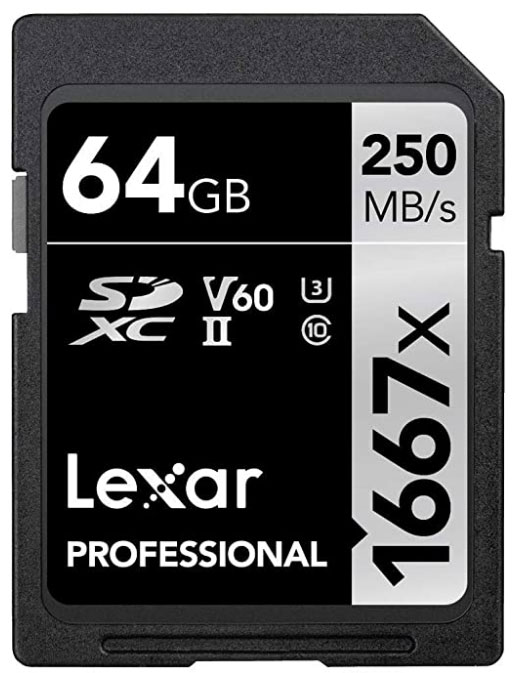 Lexar Professional (LSD64GCBNA1667)