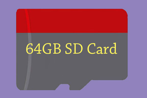 64GB SD card
