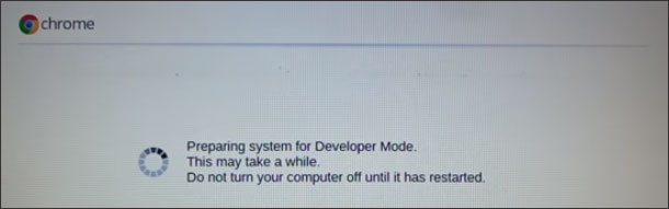 prepare system for Developer Mode