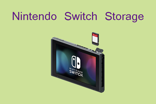 Nintendo Switch storage