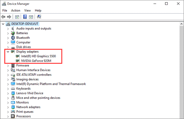 see how many GPUs under Display adapters