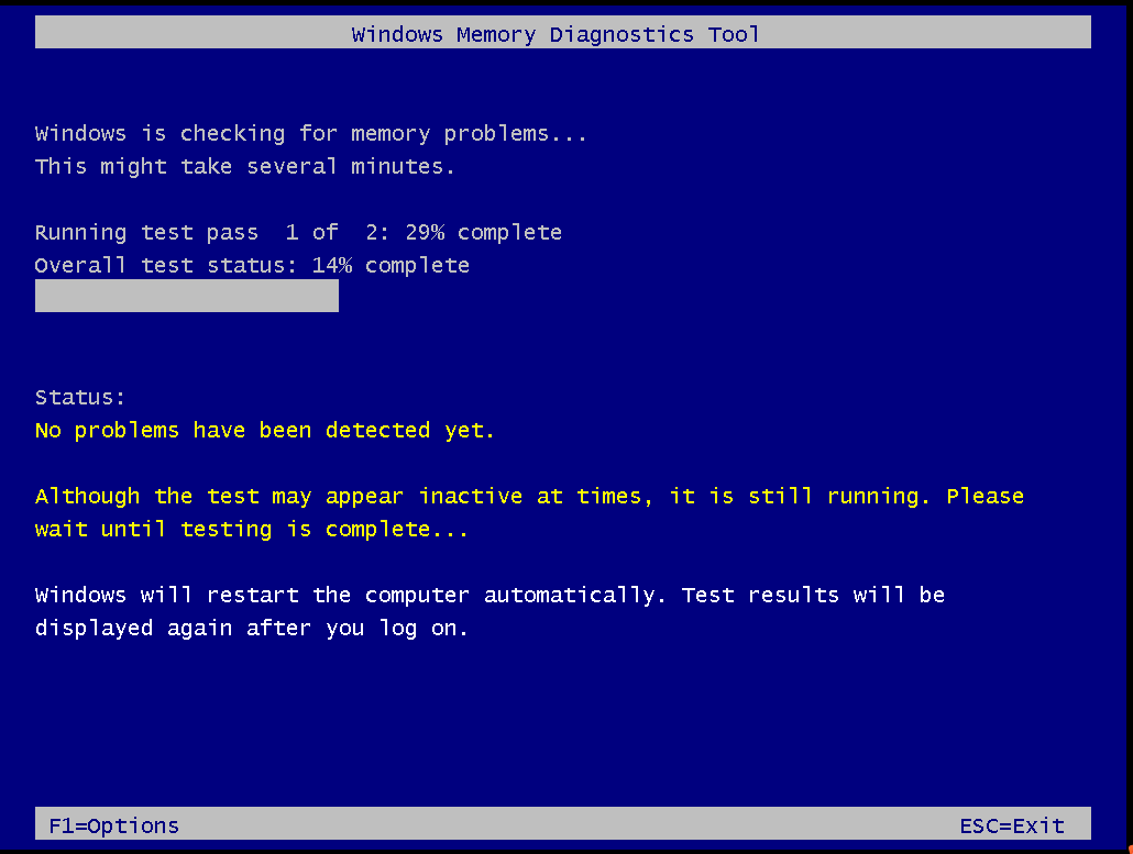 the process of check for memory problems