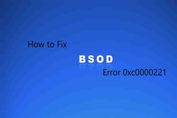 error code 0xc0000221
