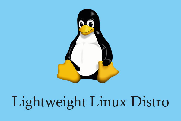 most popular lightweight linux distro