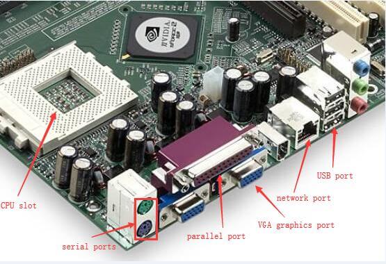 تسطير اقرأ فهرنهايت قيلولة مجس نبات شامبو Motherboard Elements