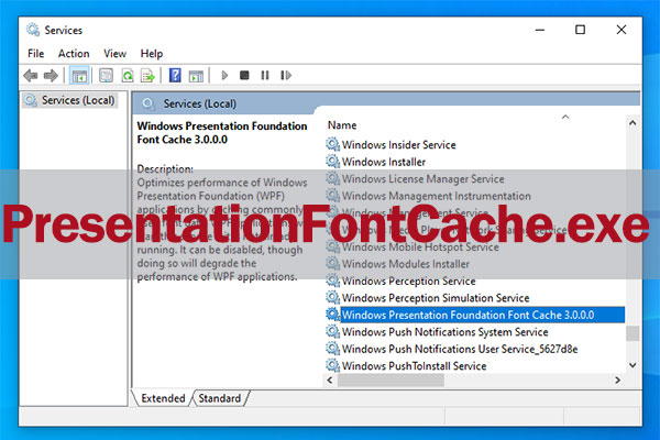 presentation cache font exe