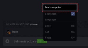 Step-by-Step Guide to Make a Spoiler Tag Discord [New Update