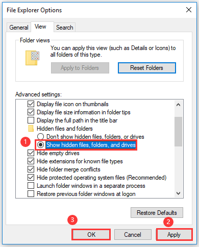set File Explorer to show hidden files