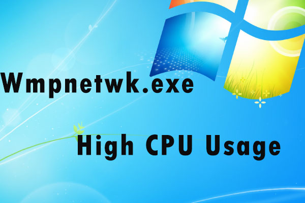wmpnetwk.exe