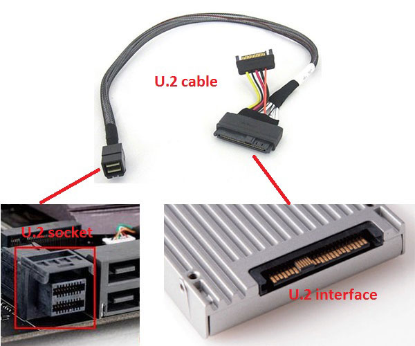 U.2 interface and slot