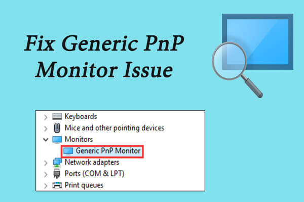 calculator Suitable Wardian case Fix Generic PnP Monitor Issue in Windows 10 [Easy Guide]