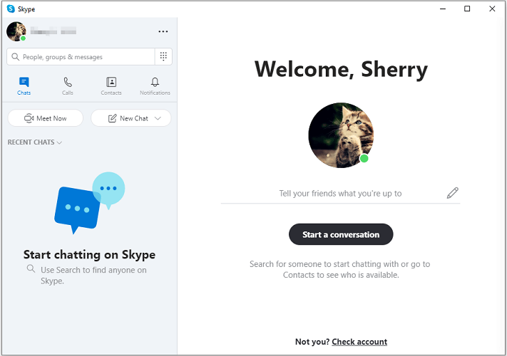 Skype main interface