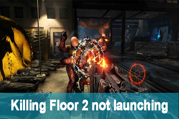 Resolved Killing Floor 2 Not Launching