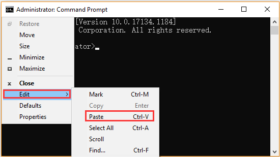 paste via command prompt