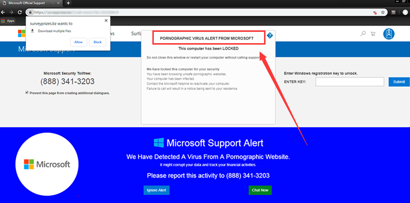 pornographic virus alert from Microsoft
