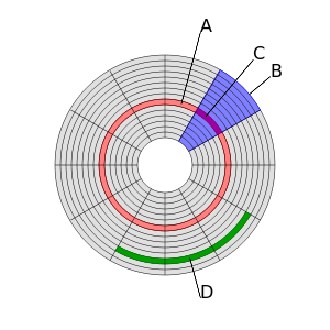 Disk Structure