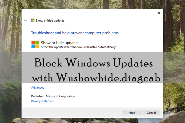 wushowhide