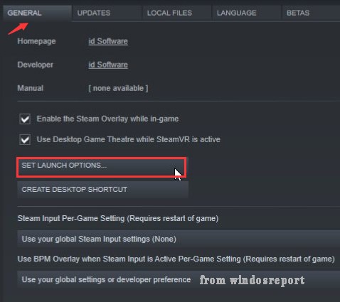 click on Steam Launch Options