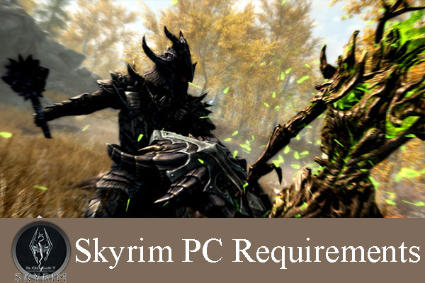 is skyrim directx 11