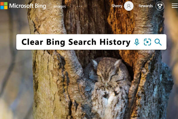 Bing search history