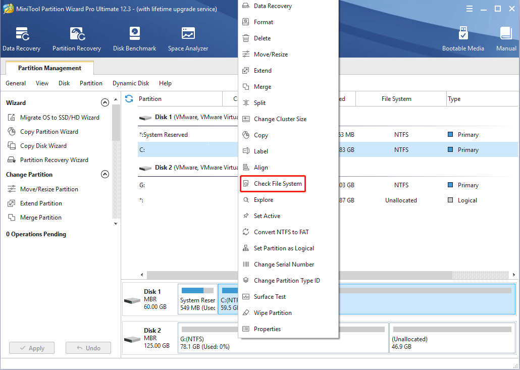 choose Check File System