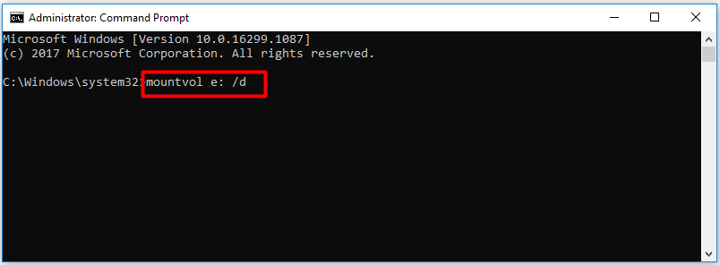 type and execute command