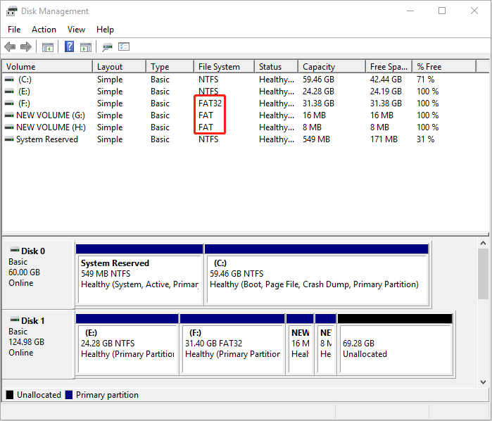 show FAT32 and FAT in Disk Management