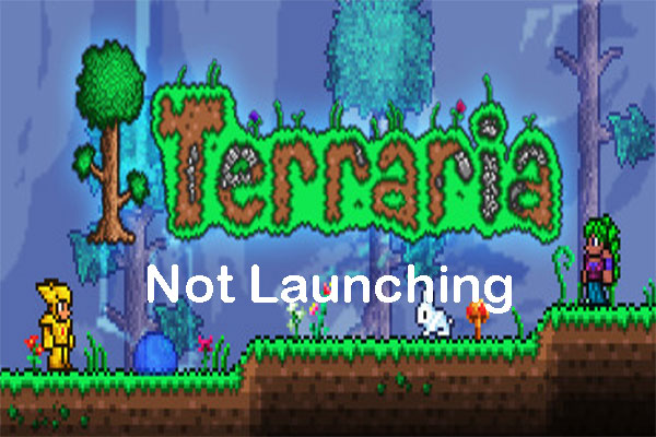 Terraria not launching