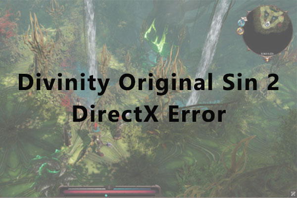 Divinity Original Sin 2 DirectX error