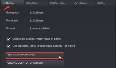 click on Set Launch Options