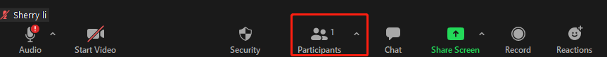 How to Mute Zoom? Here Is the Step-by-Step Tutorial (New Update
