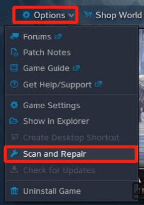 click on Scan and Repair on Blizzard