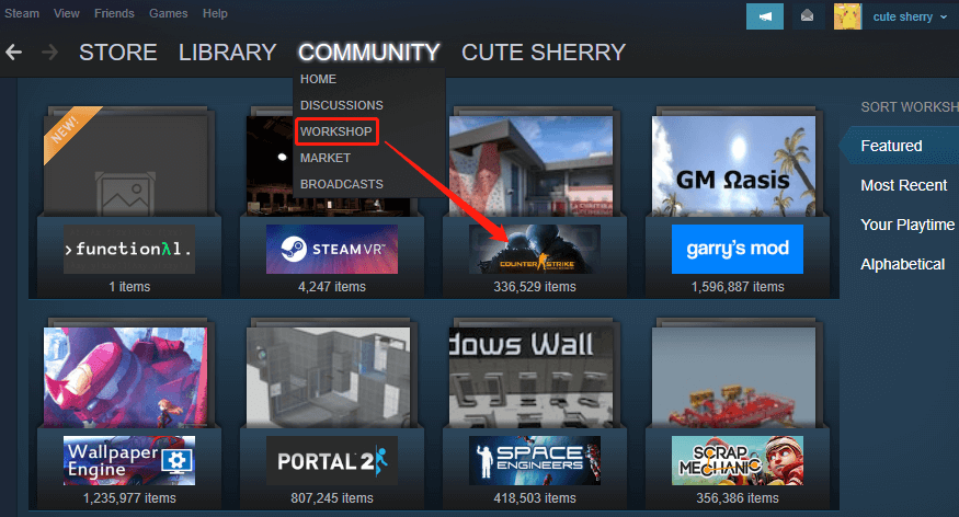 Steam Workshop