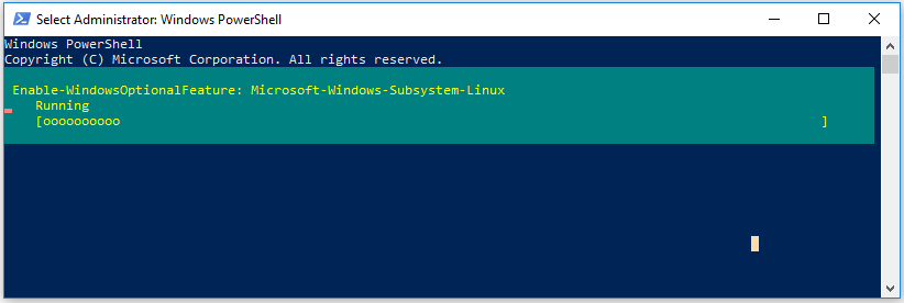 enable Windows optional feature