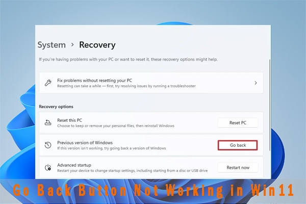 Go Back Button Not Working in Windows 11? Here’s How to Bypass It