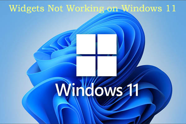 widgets not working on Windows 11